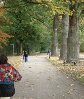 Foto 21 - bitte anklicken!